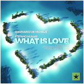 What is love 2016
